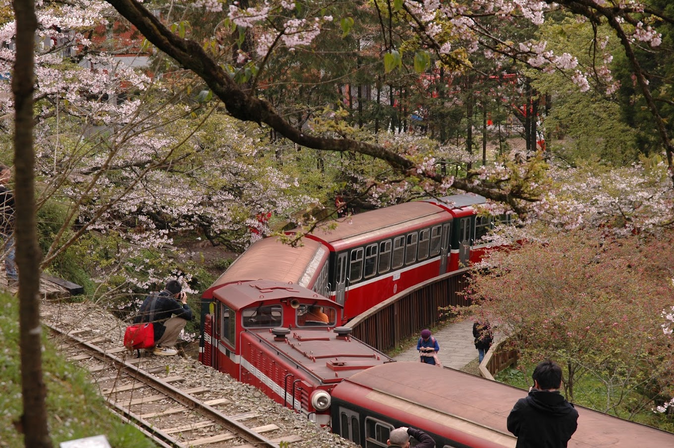 Alishan Forest Railway
