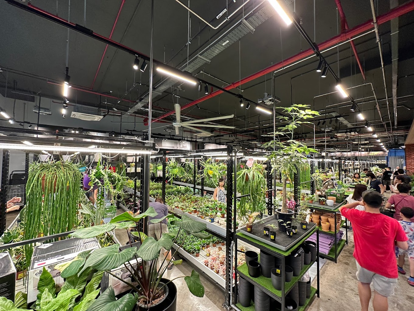 Far East Flora Centre