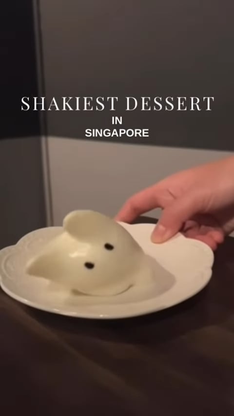 Korean jiggly pudding