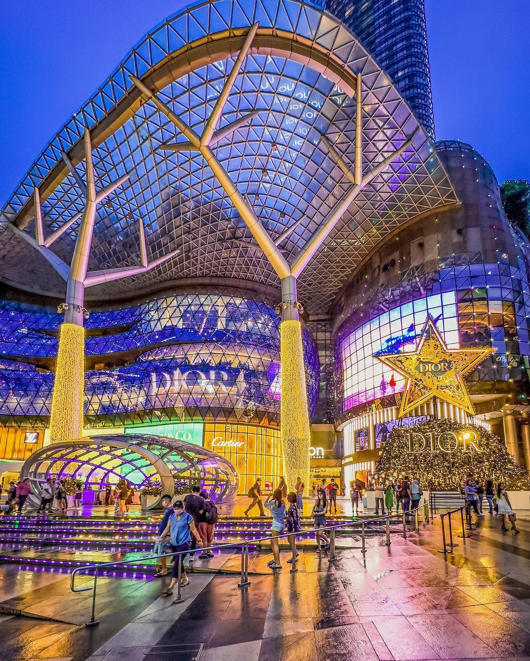 orchard road christmas light up