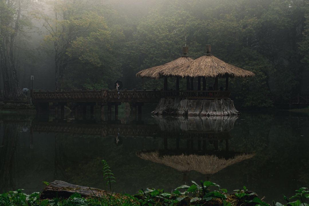 Alishan Forest Railway