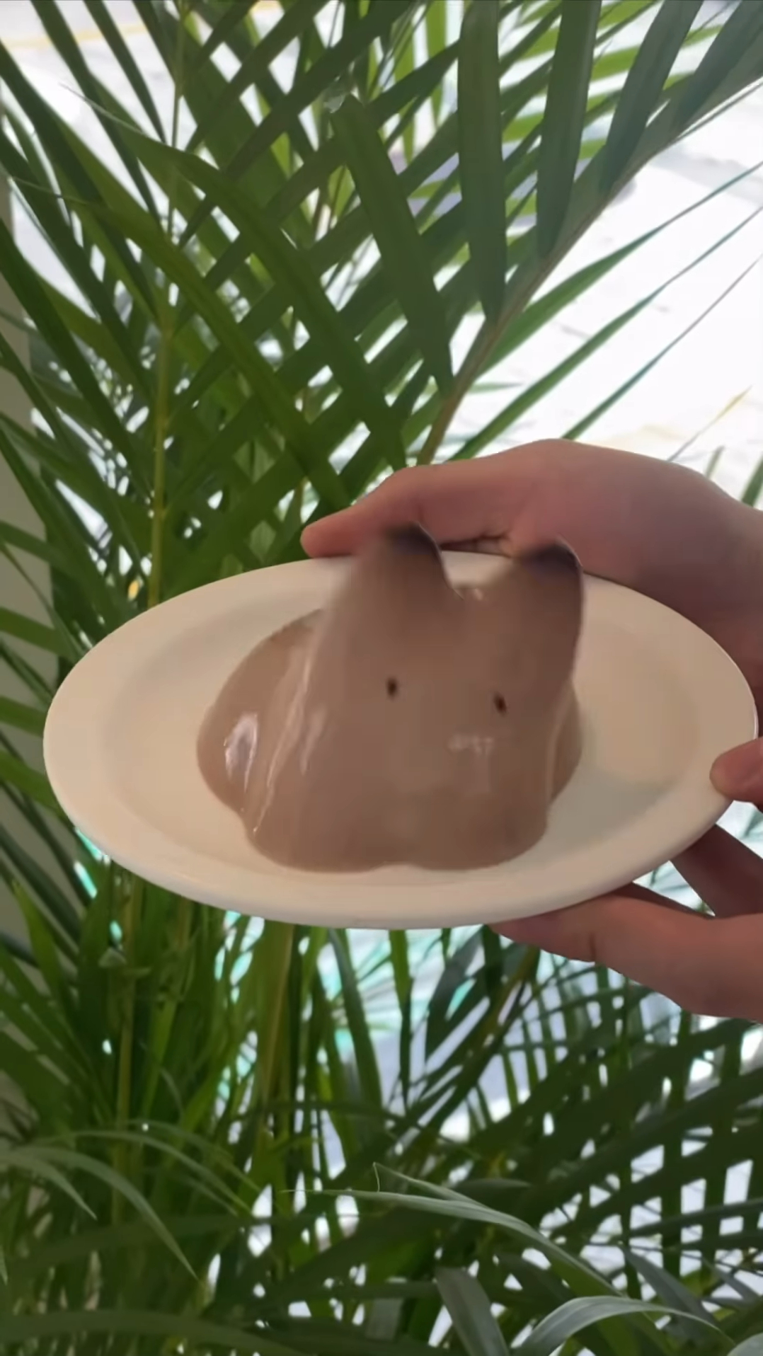 Korean jiggly pudding