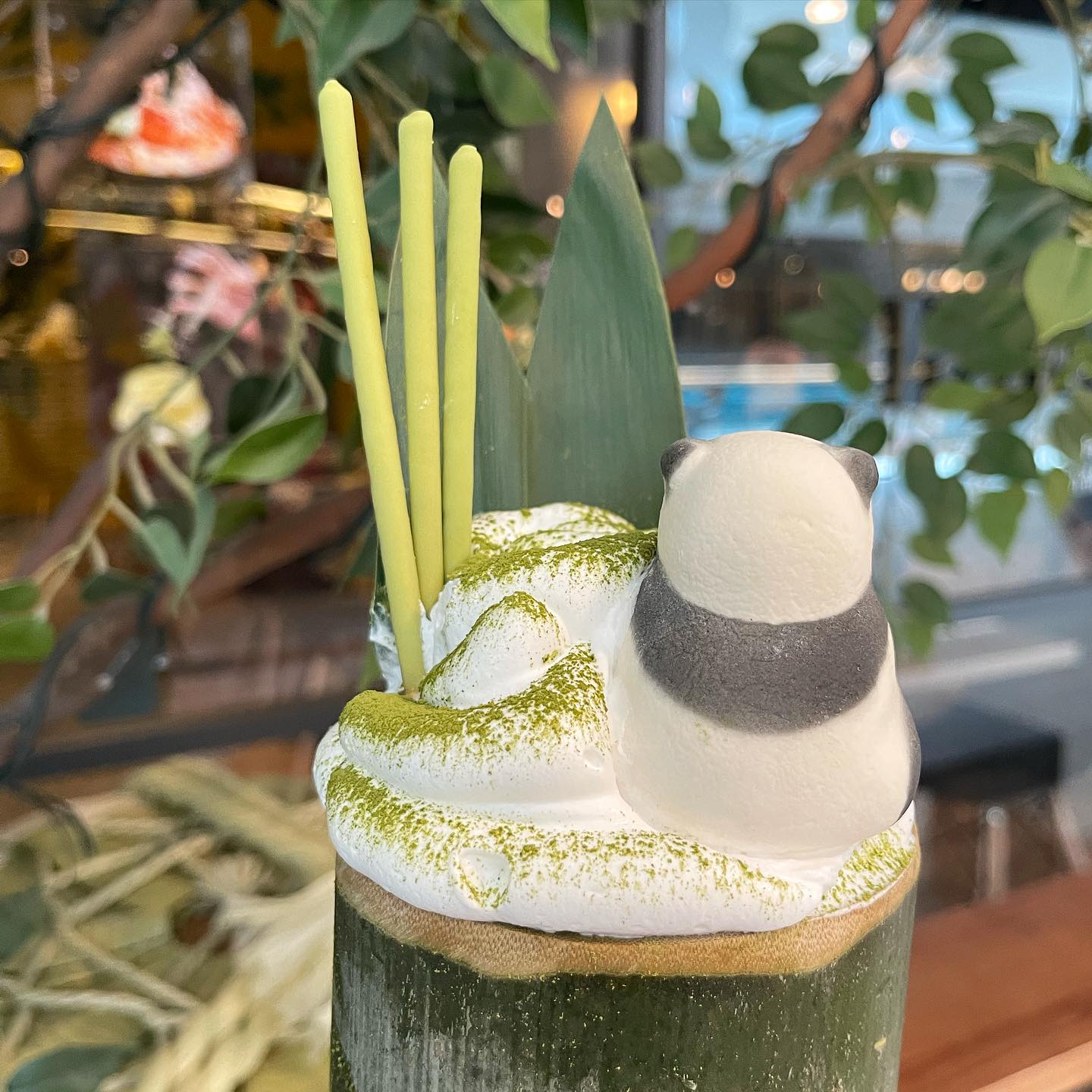 Korean jiggly pudding