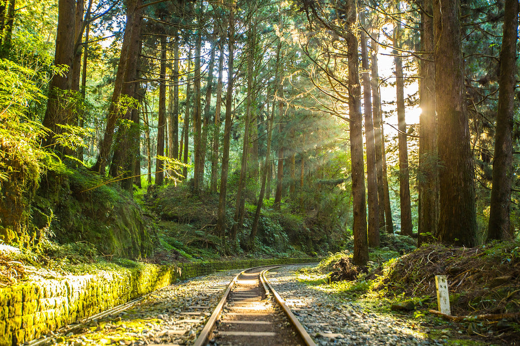 Alishan Forest Railway