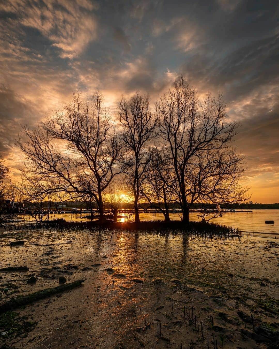 alternative christmas