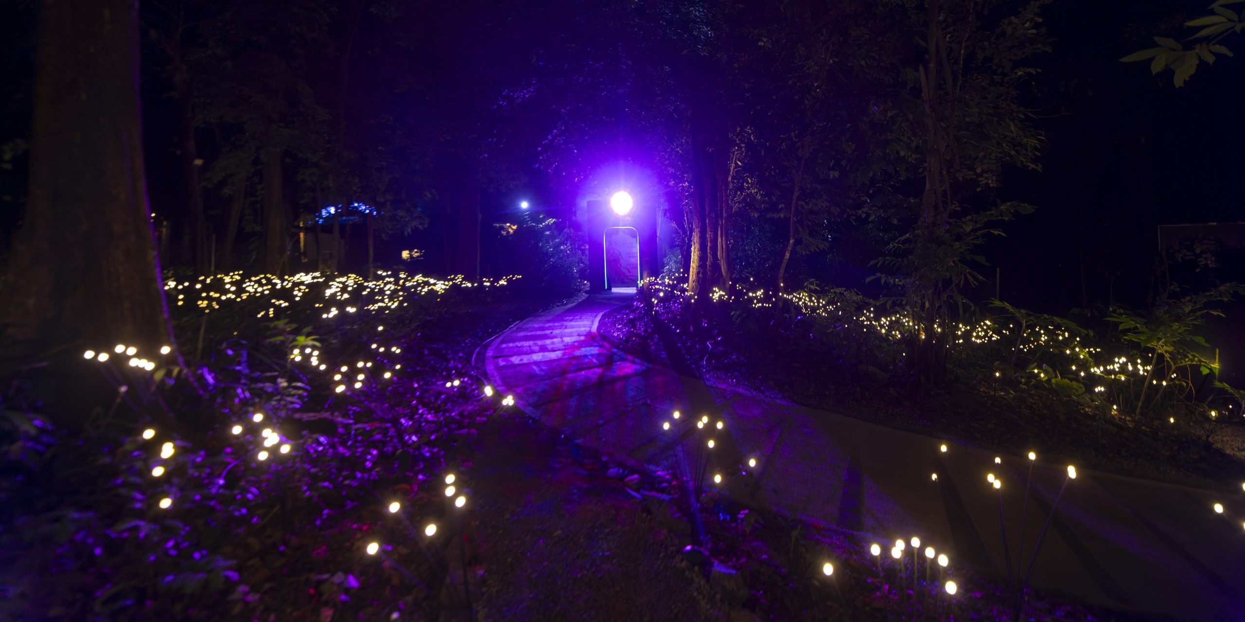 Dream Forest Langkawi