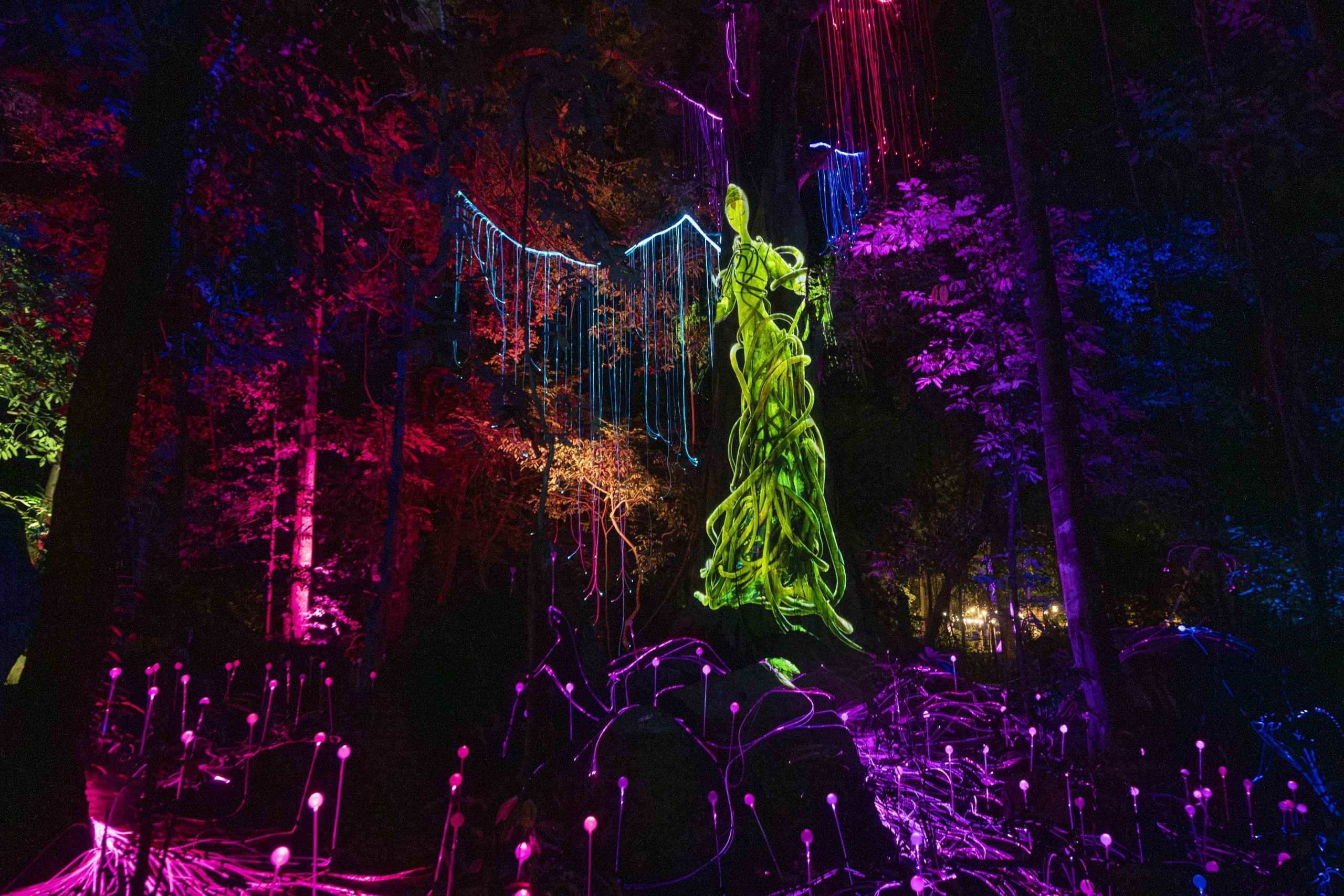 Dream Forest Langkawi