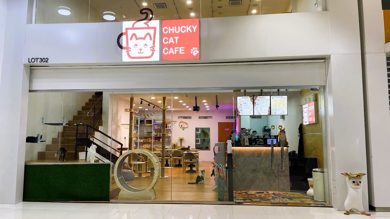 Chucky Cat Cafe