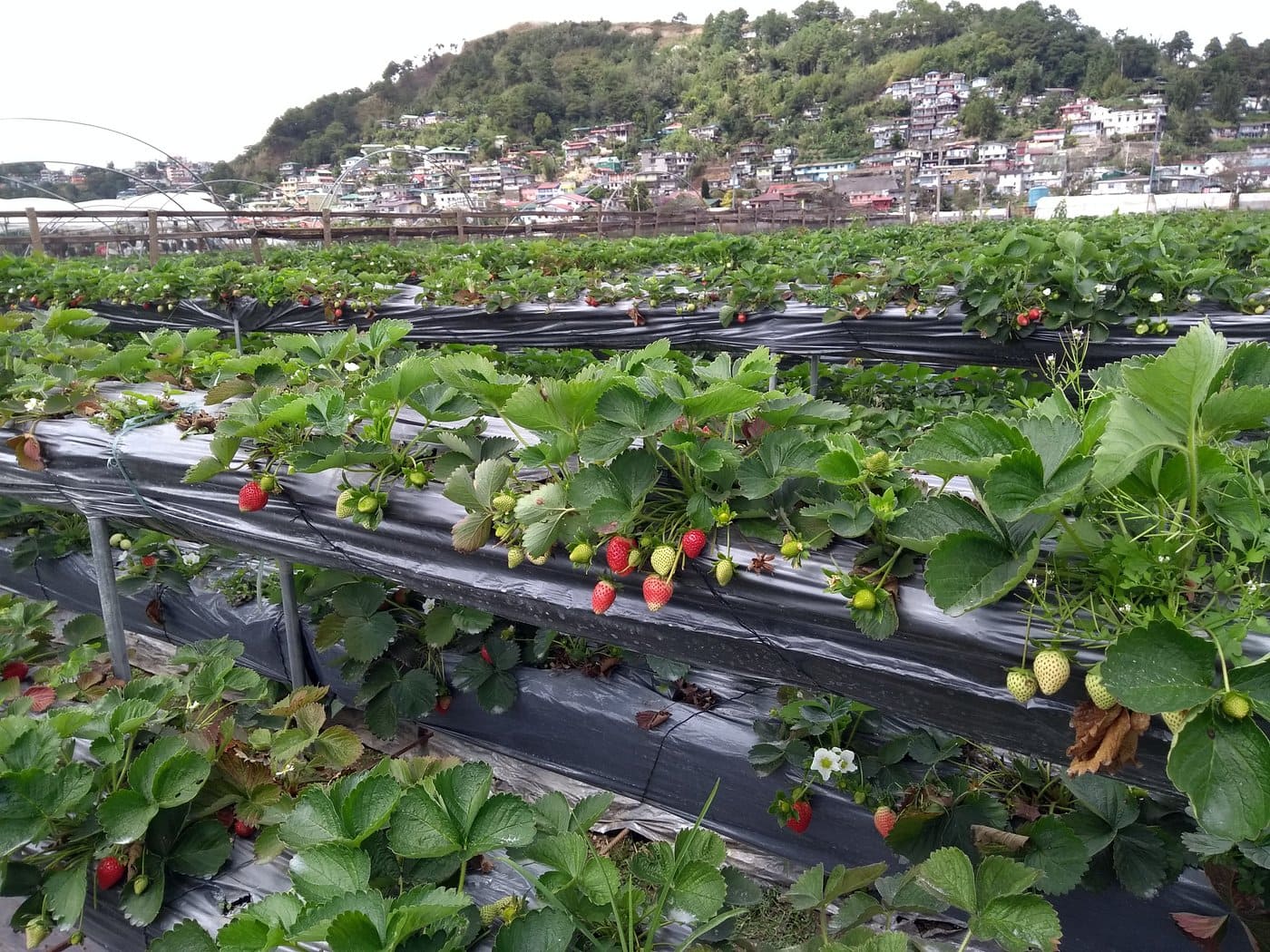 unique spots philippines