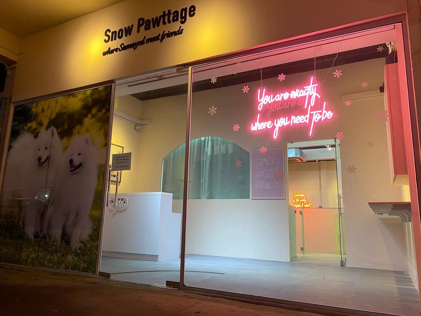 Snow Pawttage