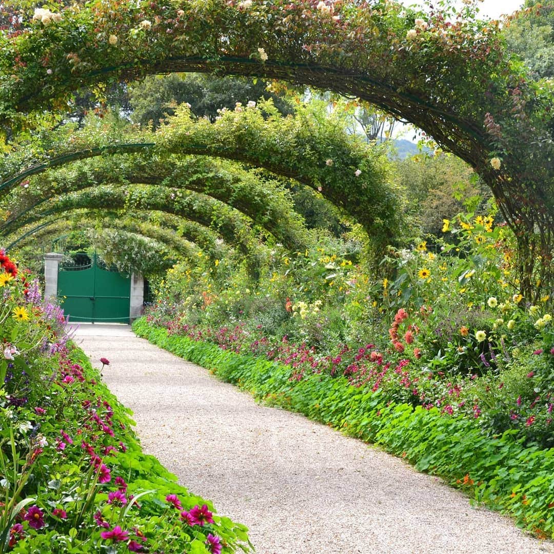 Impressions of Monet