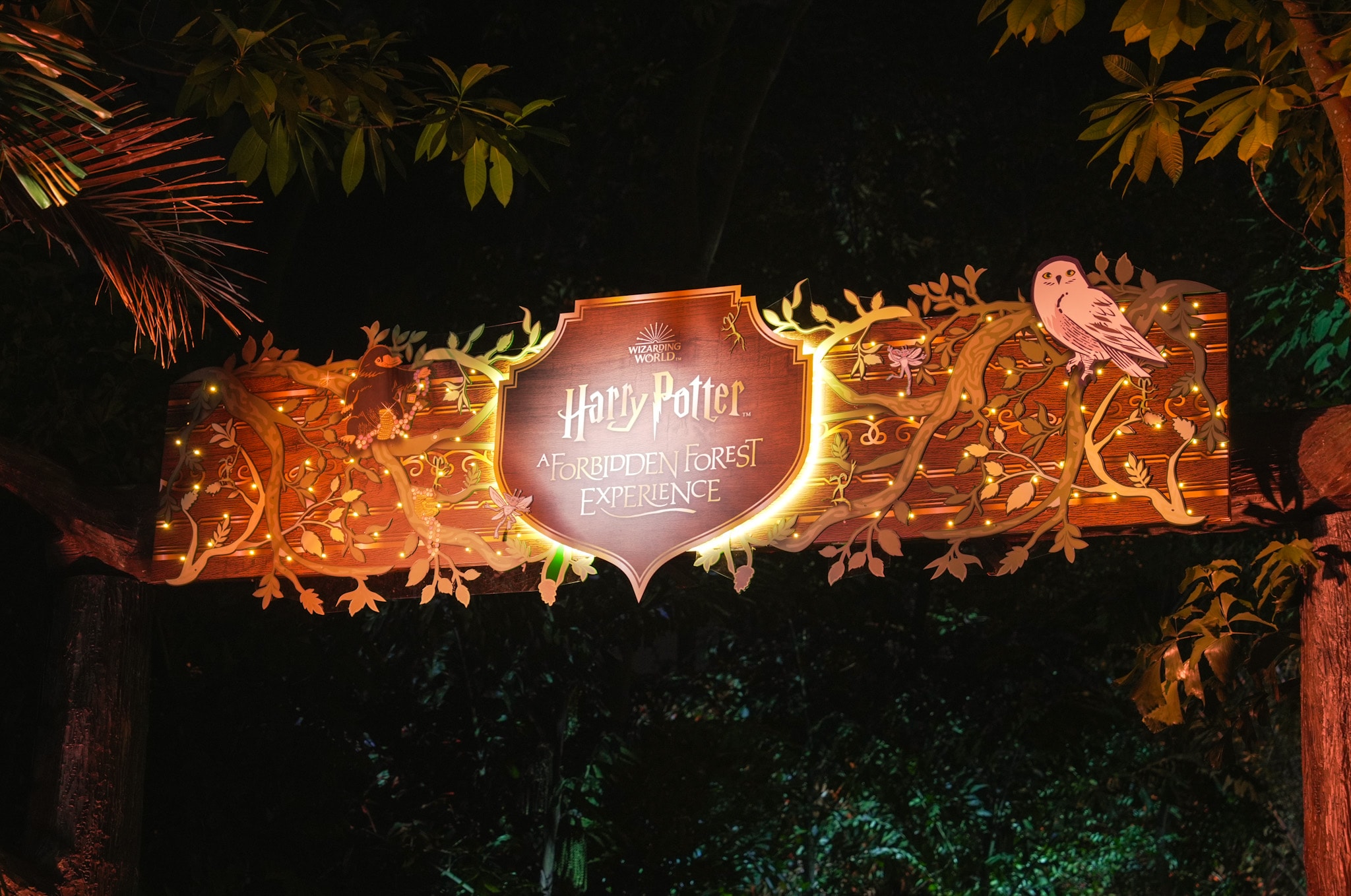 Harry Potter: A Forbidden Forest Experience