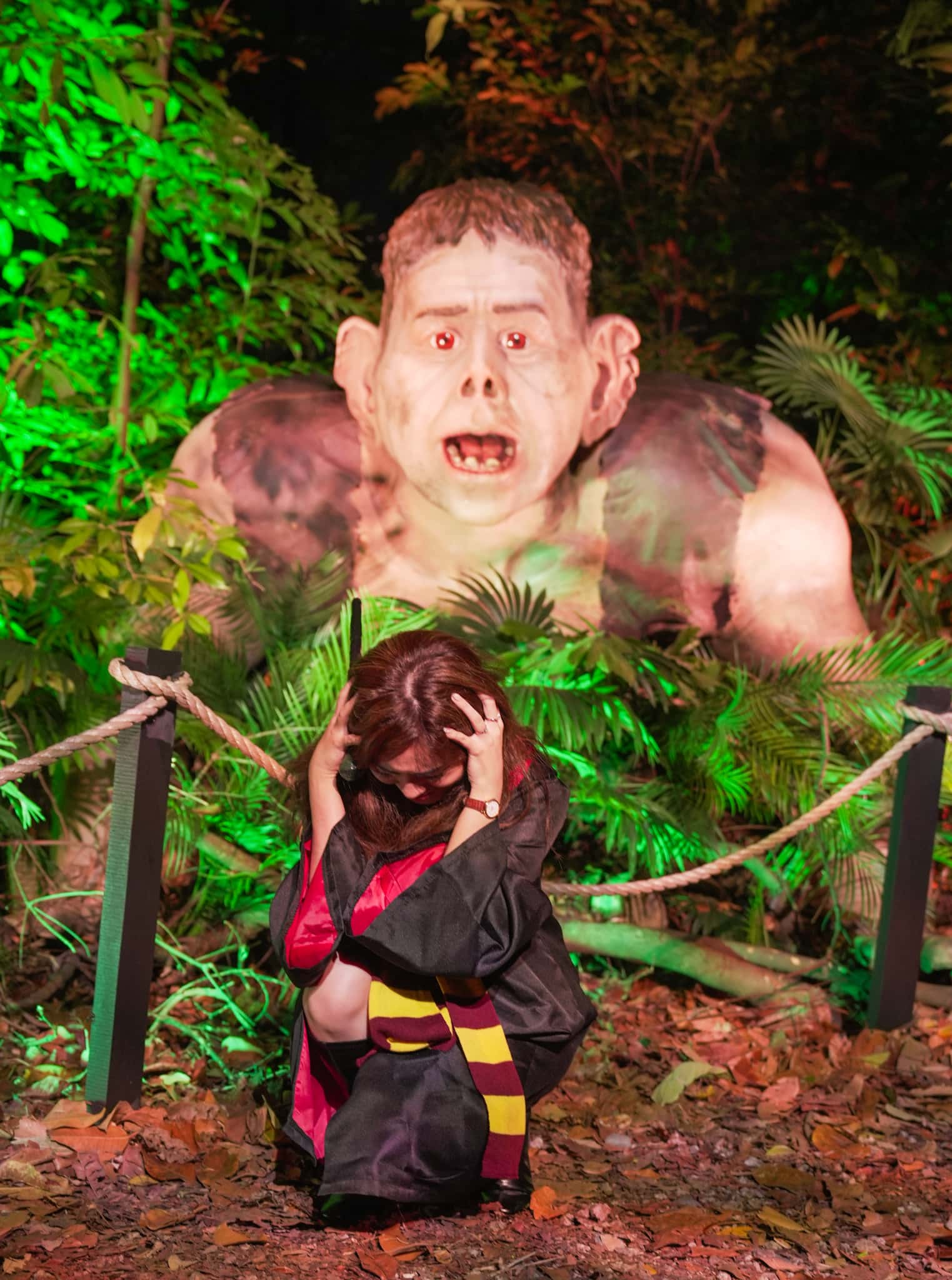 Harry Potter: A Forbidden Forest Experience