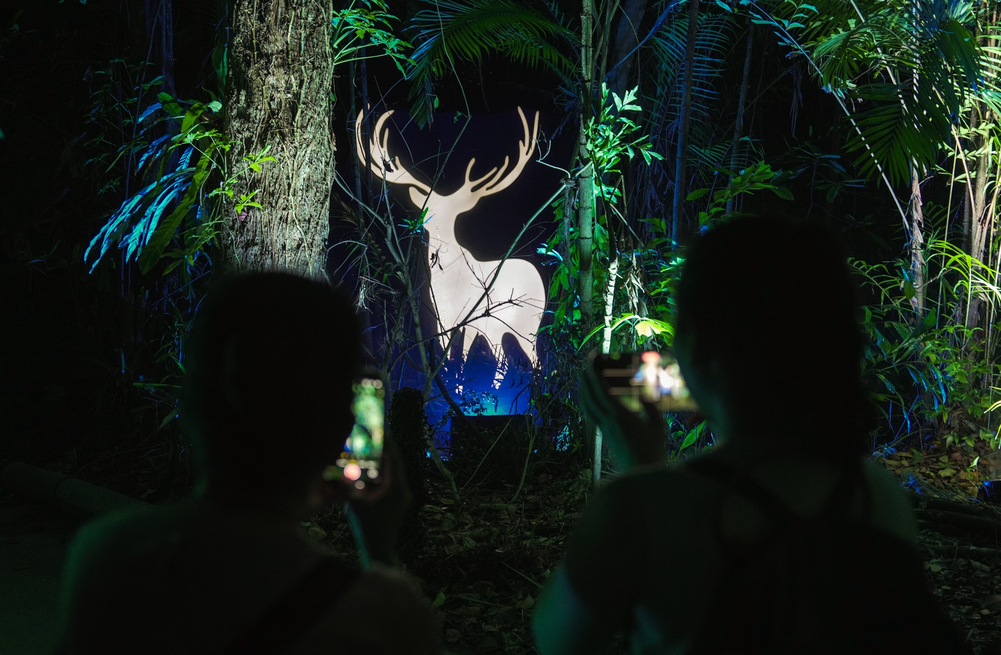 Harry Potter: A Forbidden Forest Experience