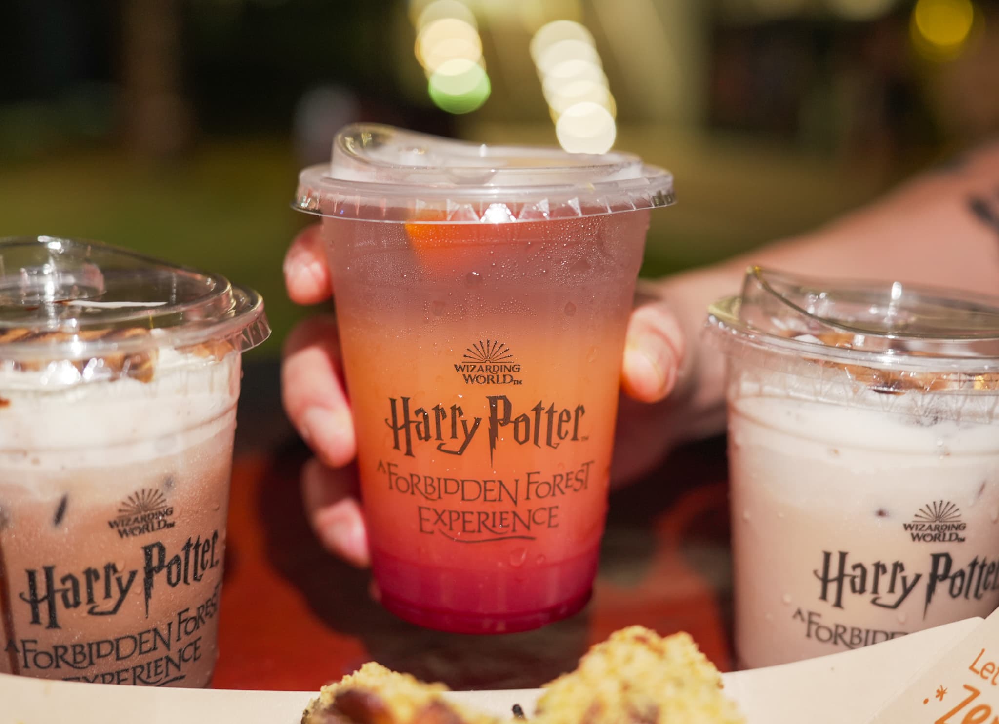 Harry Potter: A Forbidden Forest Experience