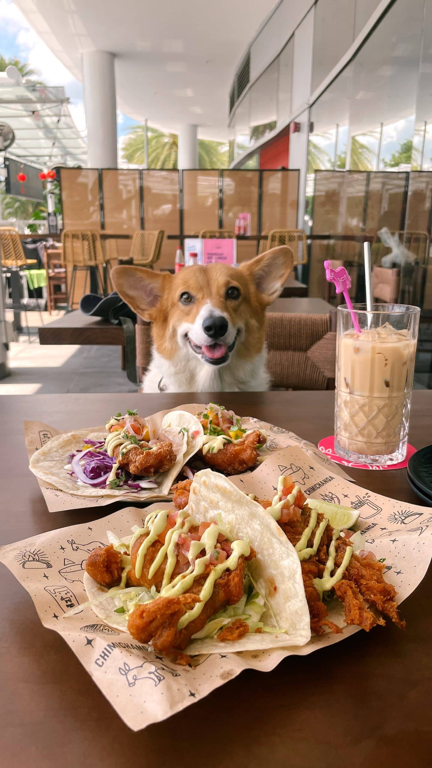 chimichanga vivocity