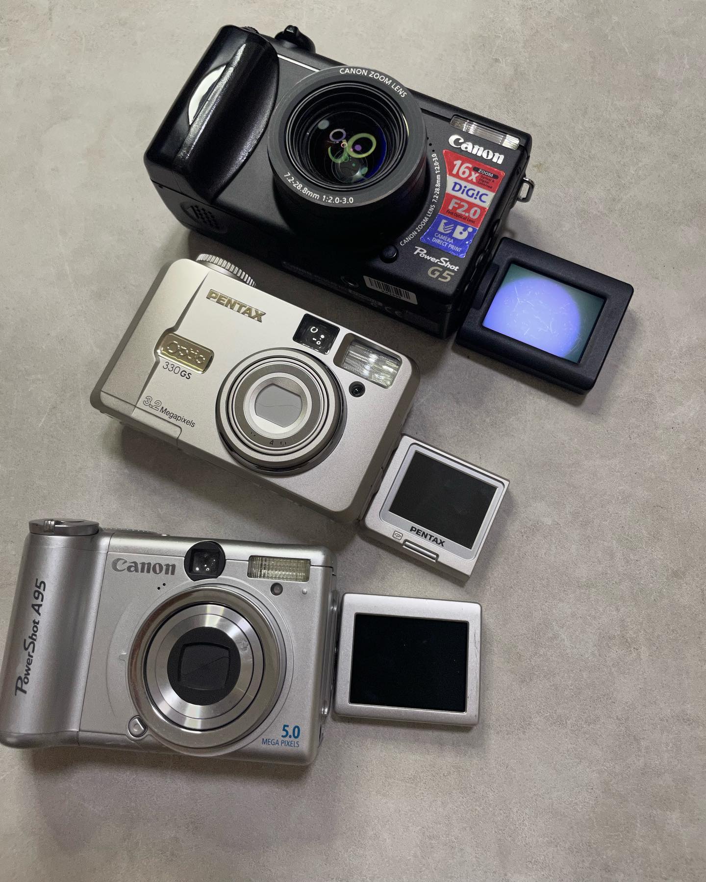 Night at Orchard 2024