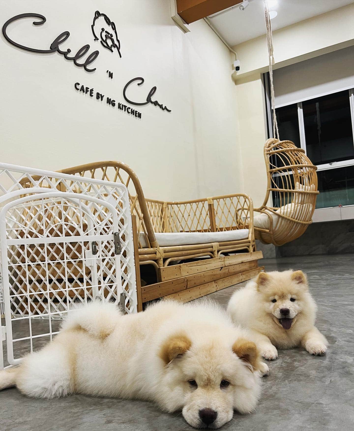 Head down to 16 of the best shopping malls in Johor Bahru for your next vacay including vintage thrifting, affordable fare & more!