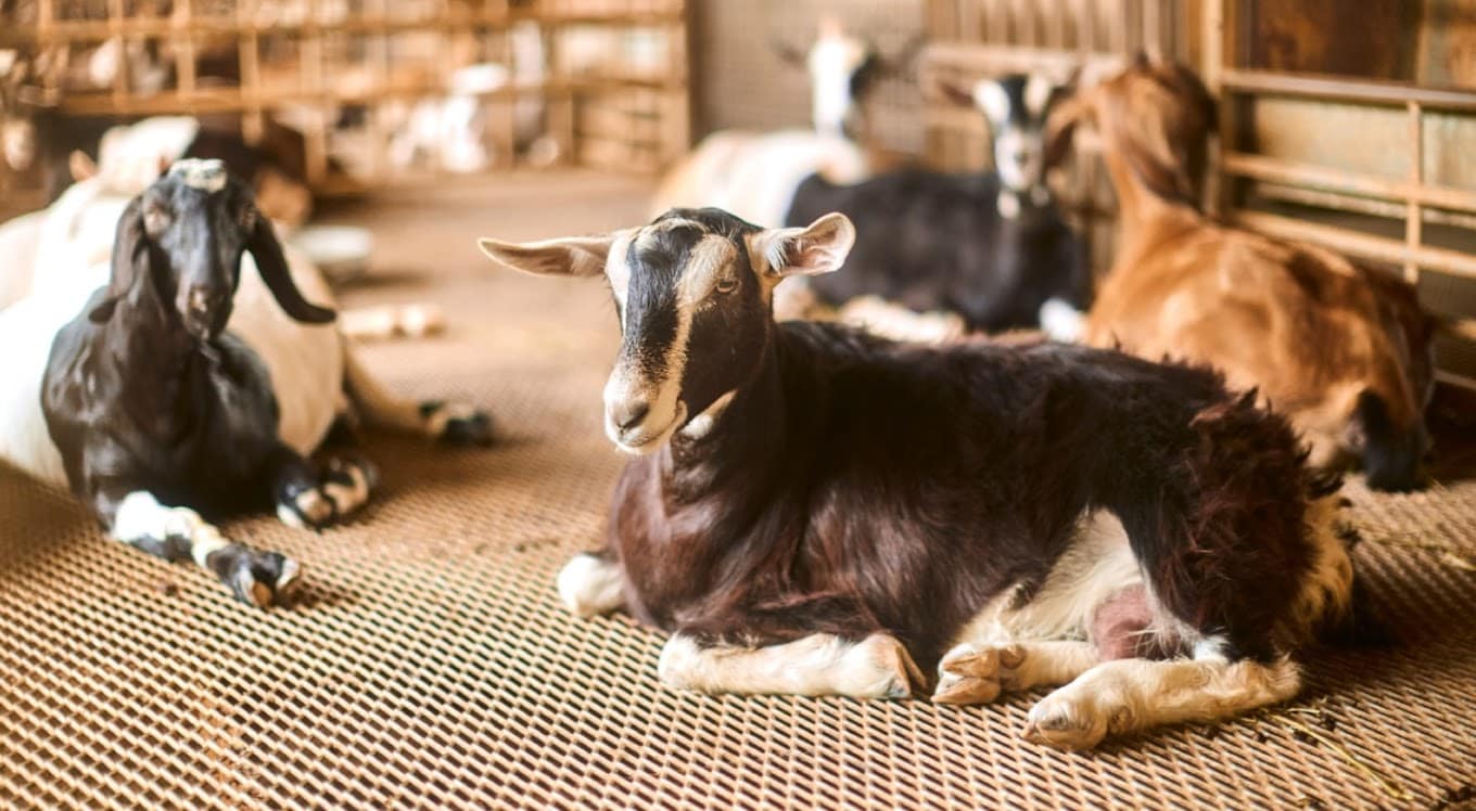 Kranji Sanctuary Resort