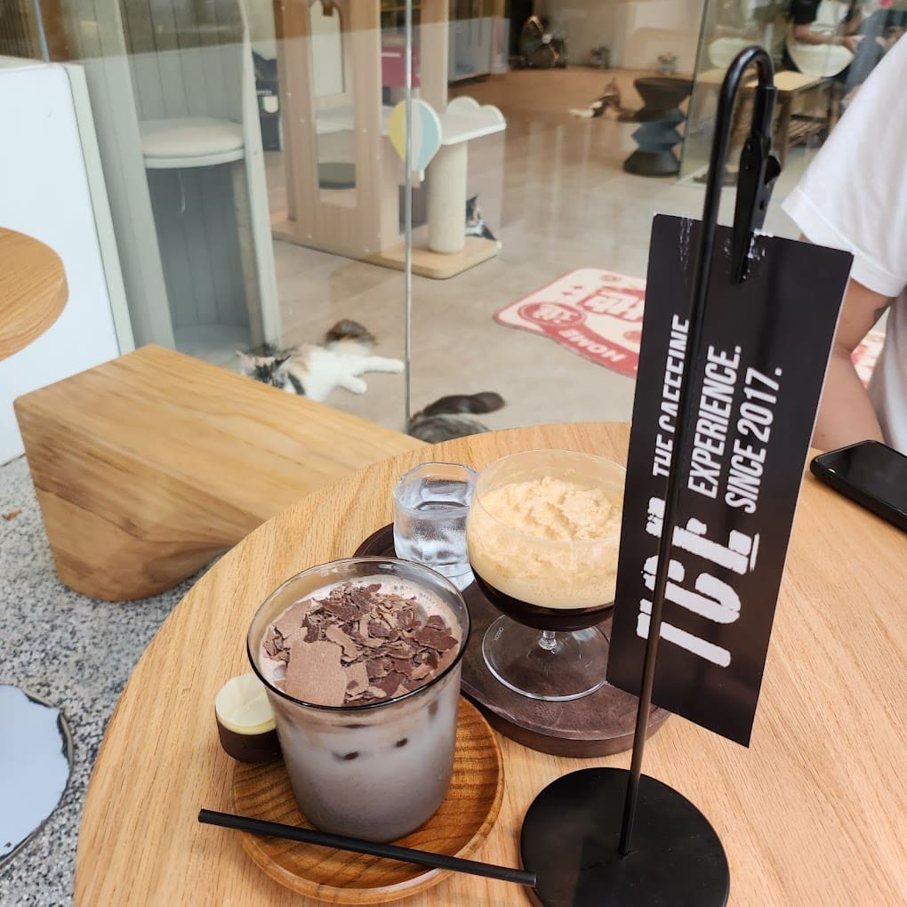 The Caffeine Experience