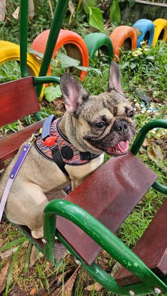 Kranji Sanctuary Resort