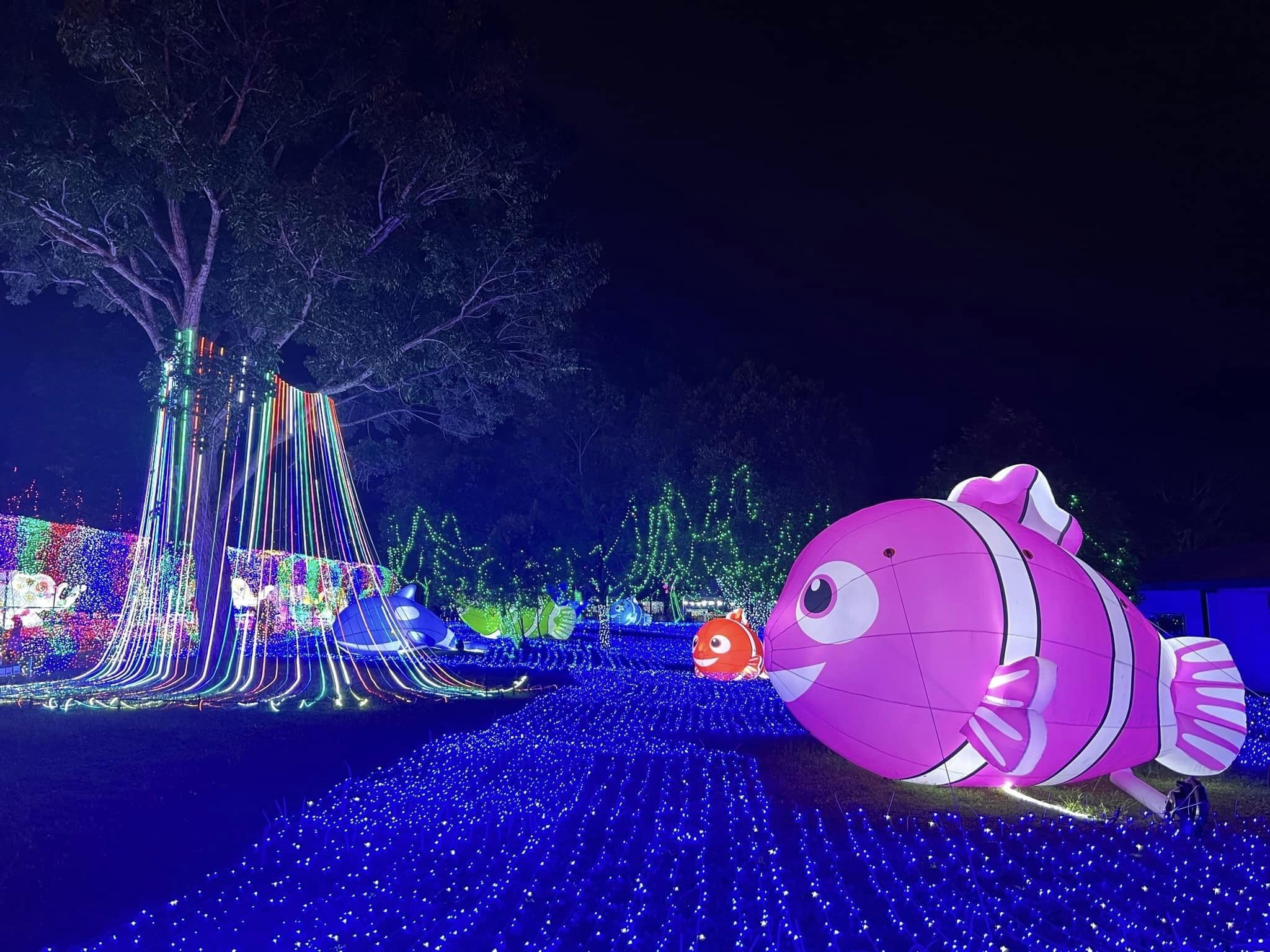 Luna Lights Wonderland