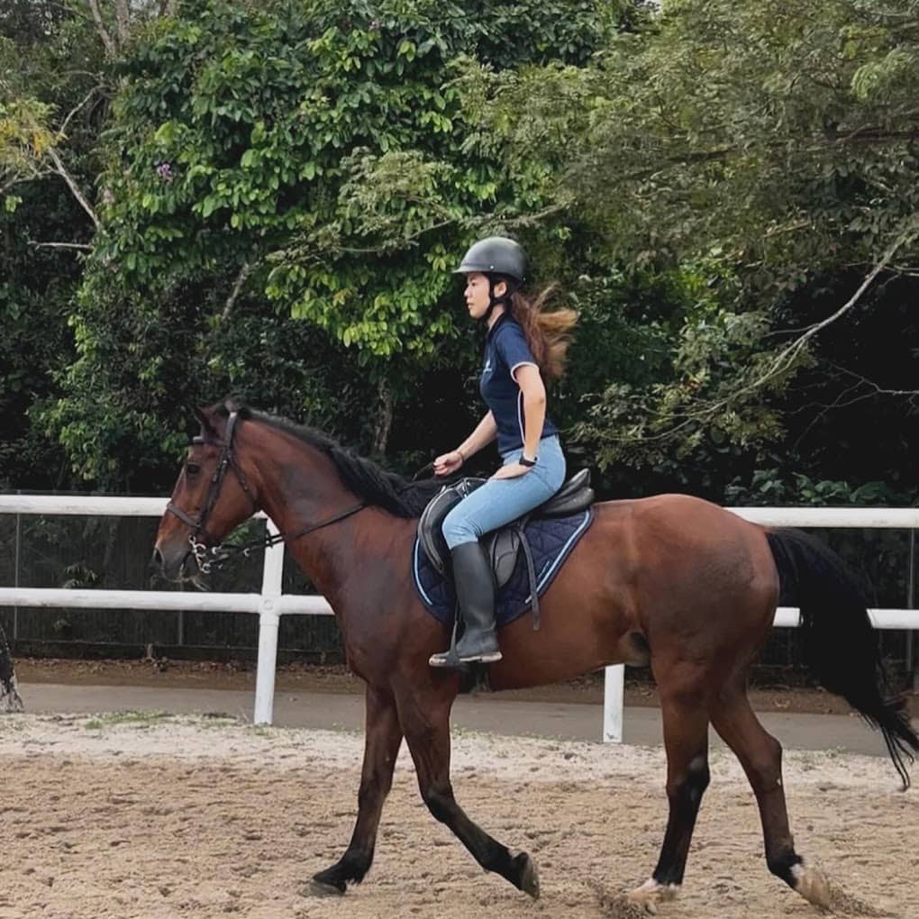 Amigos Horse Riding School