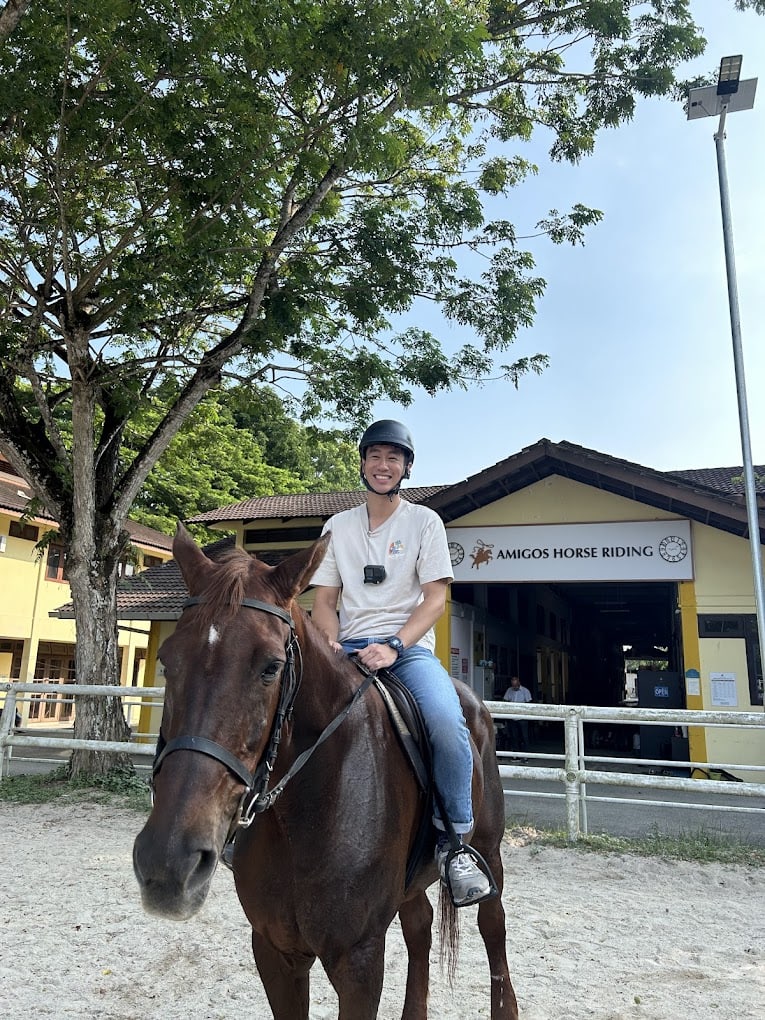 Amigos Horse Riding School