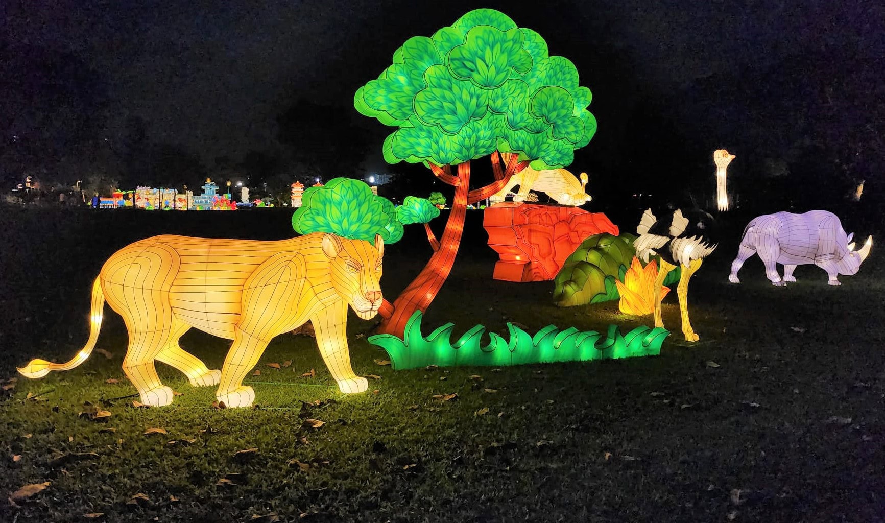 Lights by the Lake 2024