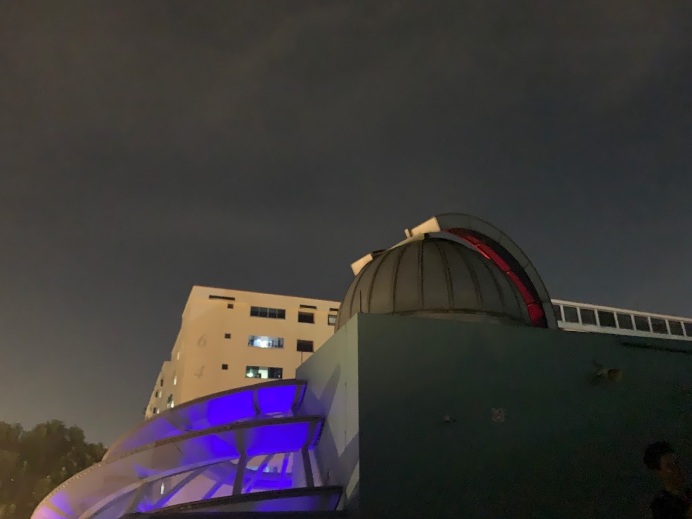 Unique Activities in Singapore