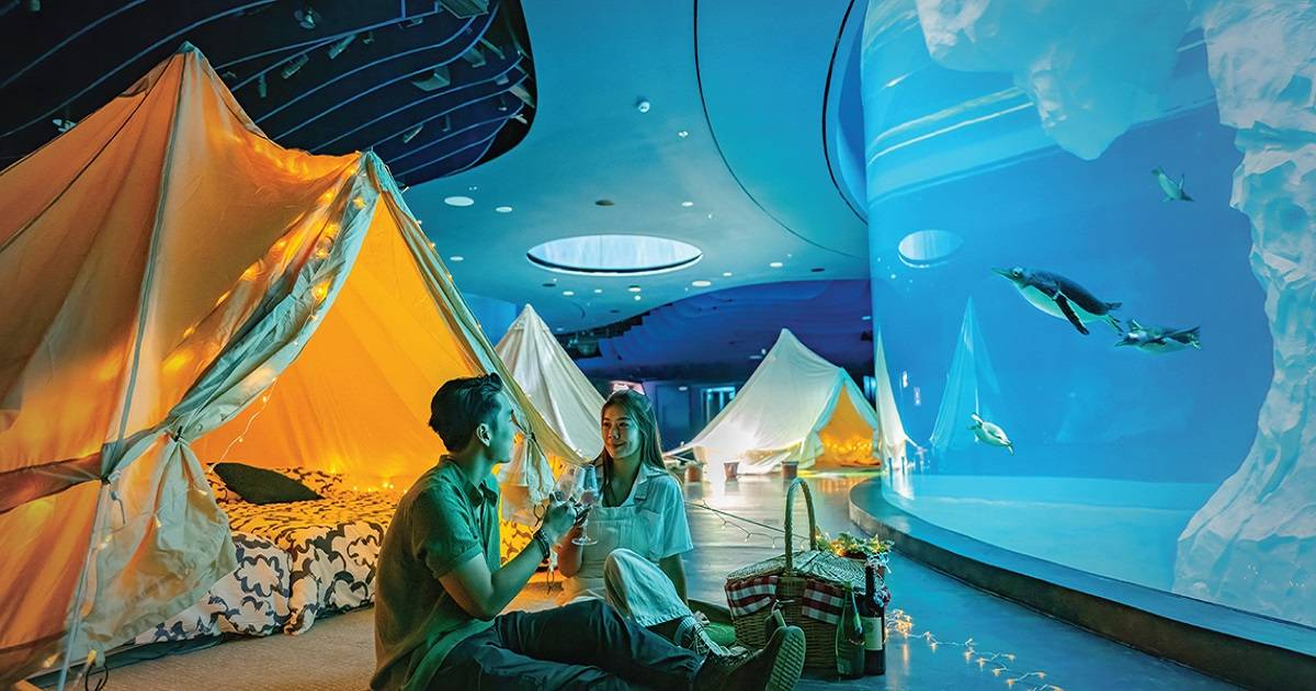 Unique Activities in Singapore