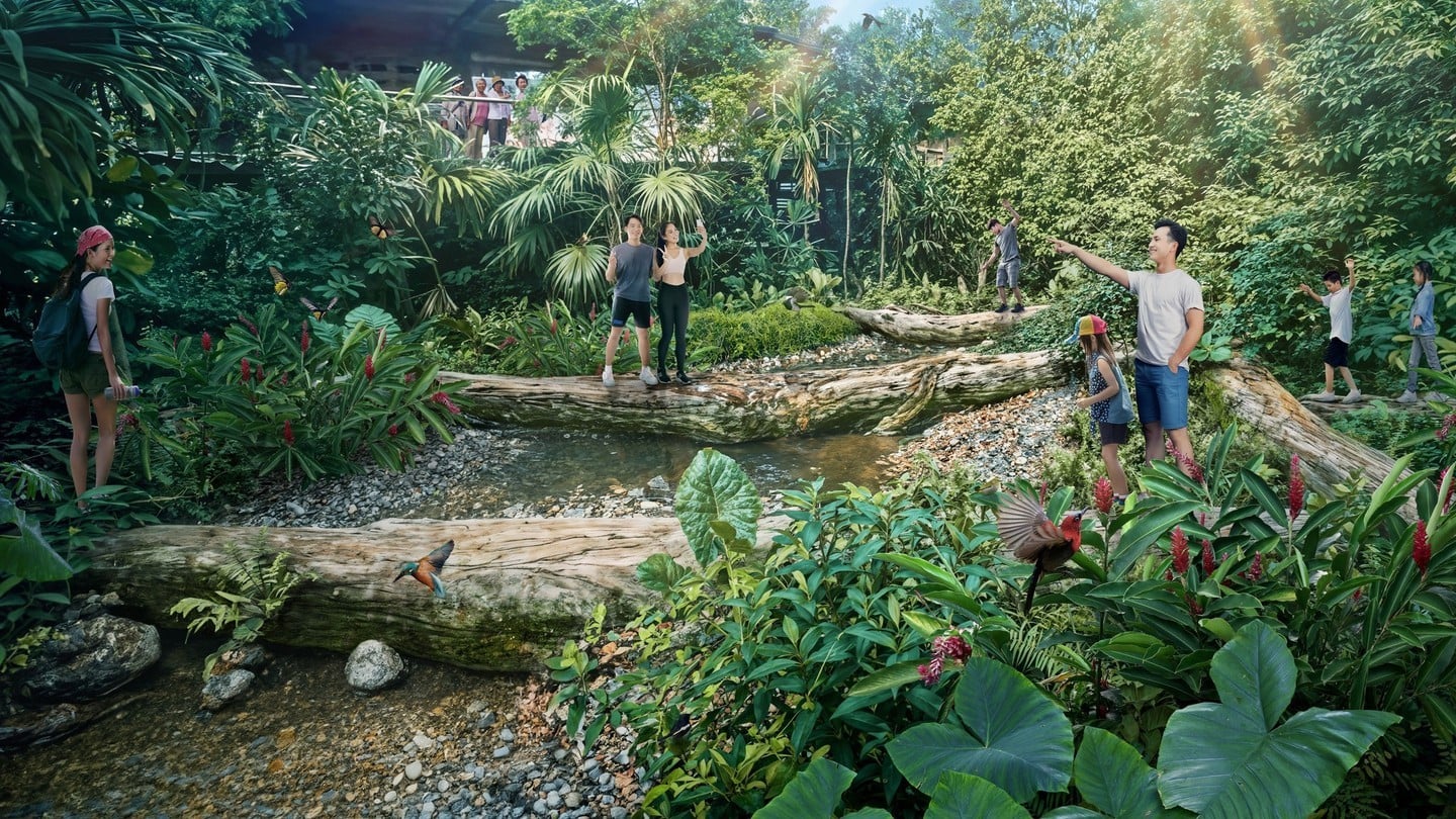 Rainforest Wild Asia