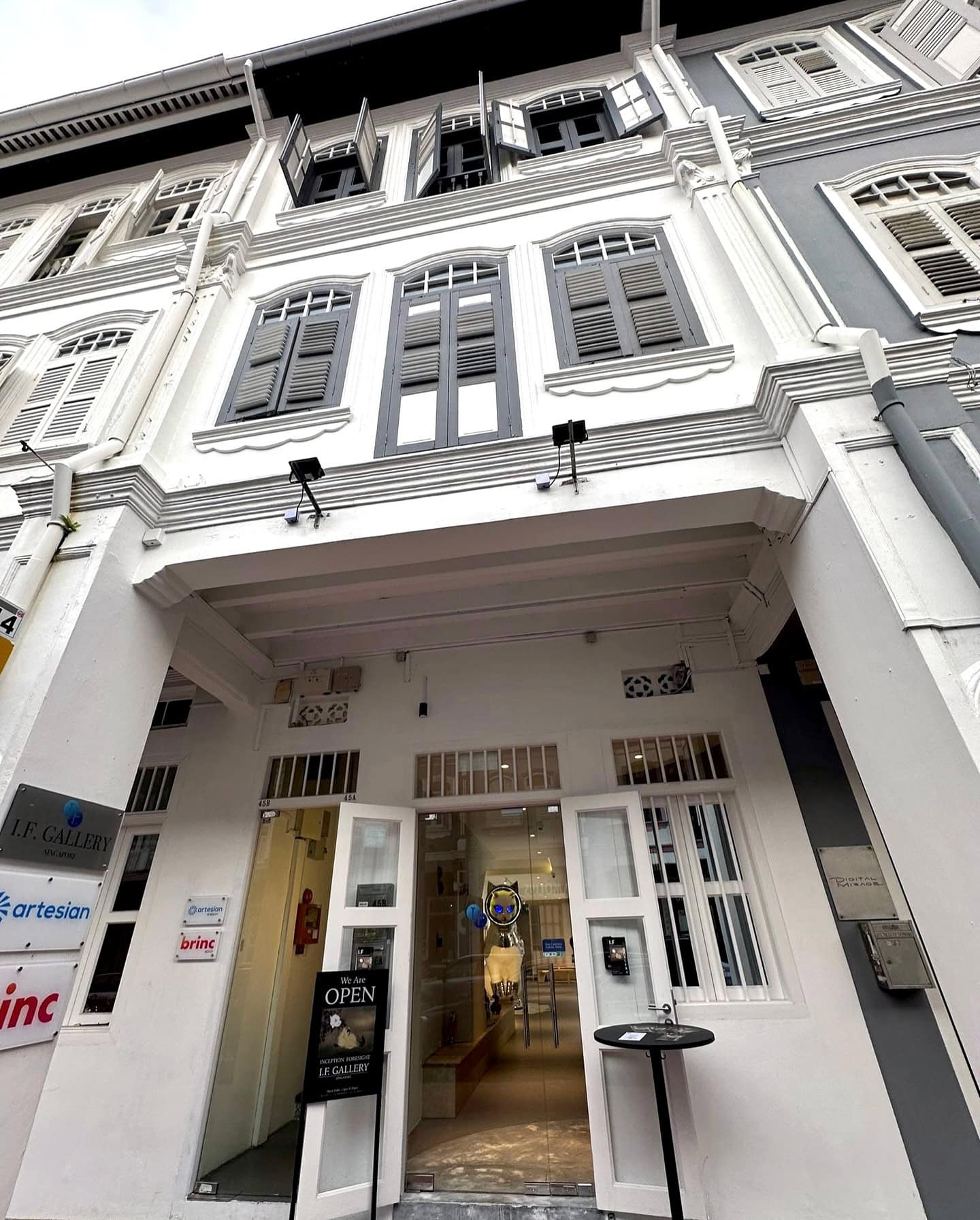 Cats in a Floating World