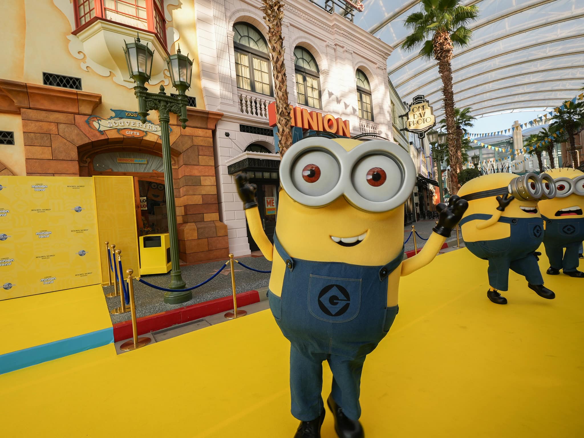 Minion Land