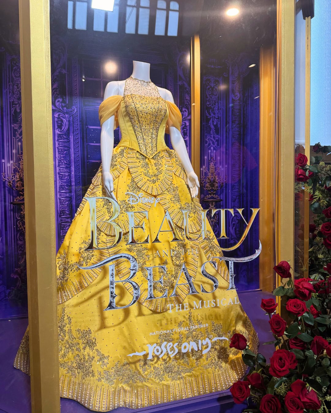 Beauty and The Beast