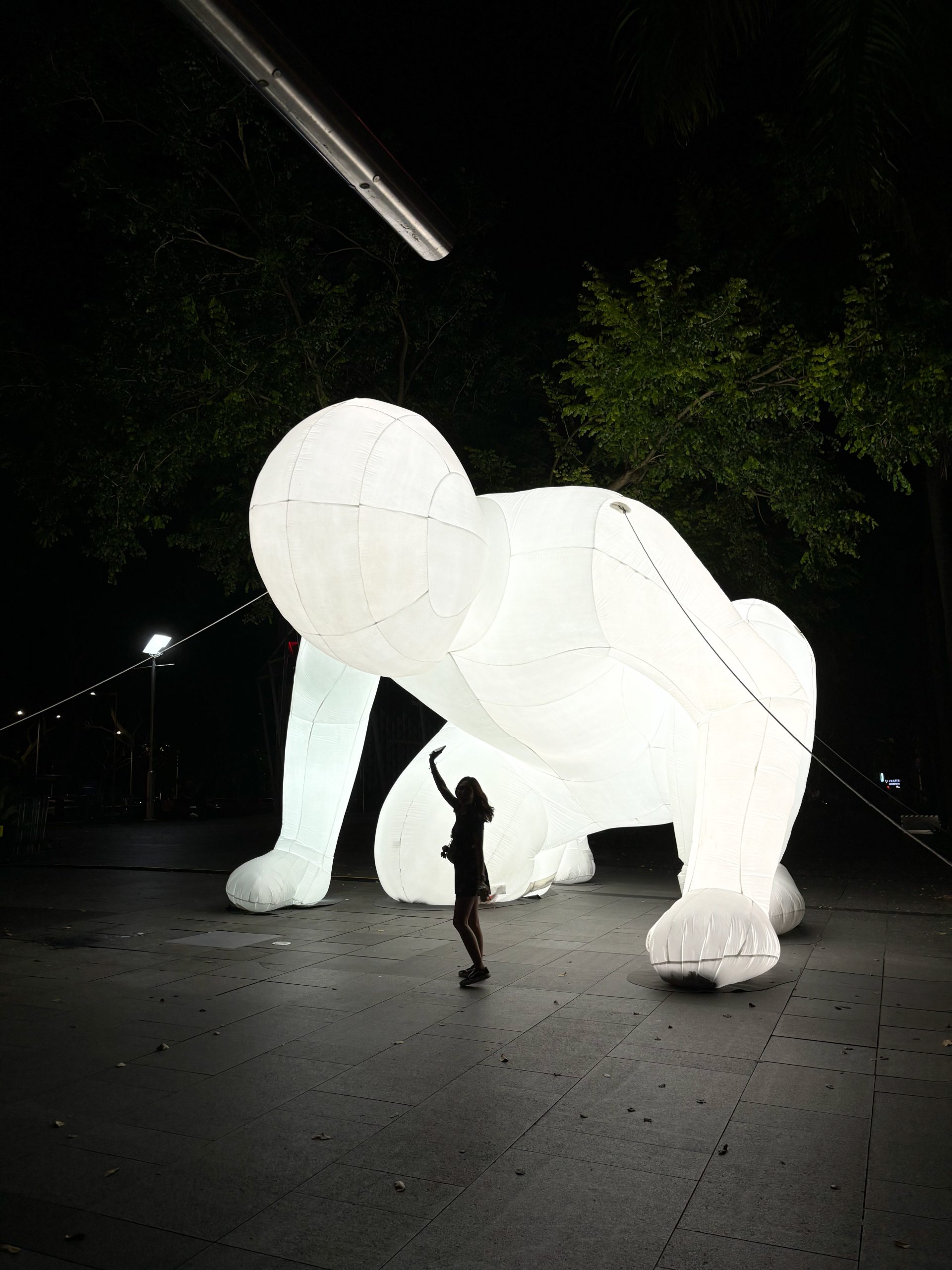 i Light Singapore 2025