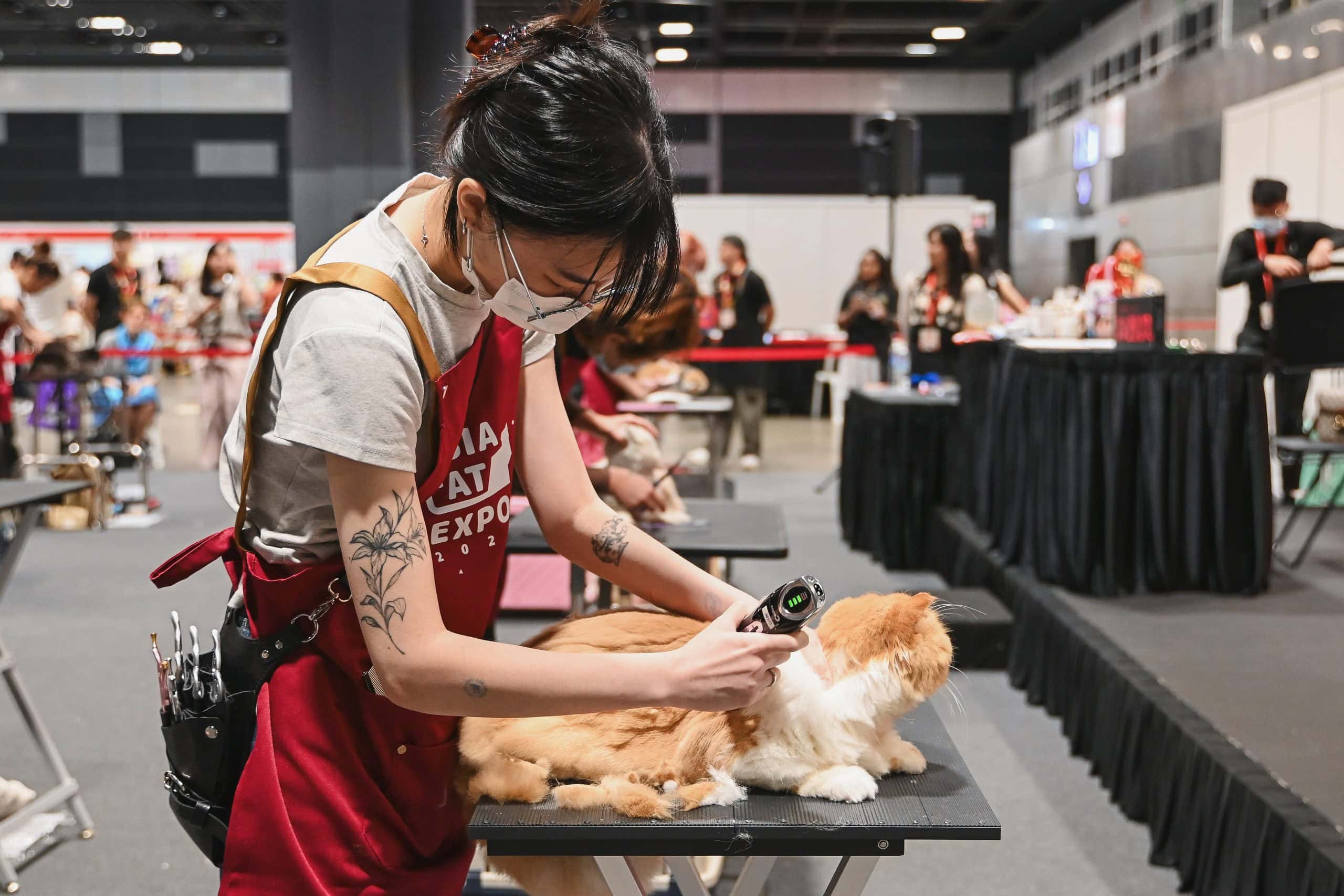 Asia Cat Expo